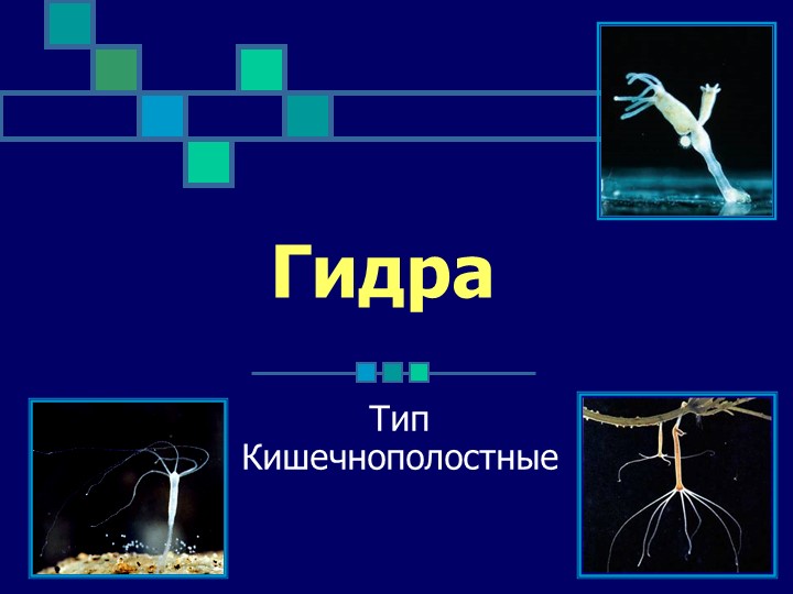 Кракен почему пользователь не найден